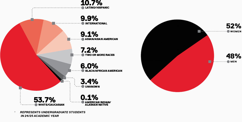 Pie Chart of Ethnicity and Gender Information