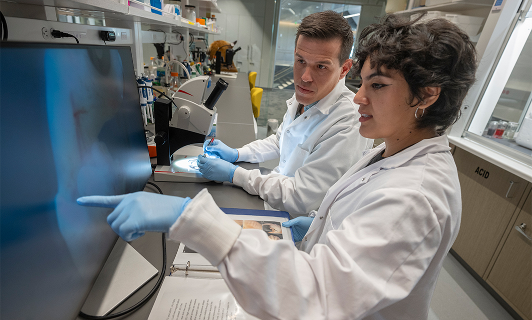 Professor Boris Tezak and PhD student Valeria Morales Ciriaco sharing observations about a Red-eared Slider (Trachemys scripta elegans) embryo under a microscope in the Tezak Lab.