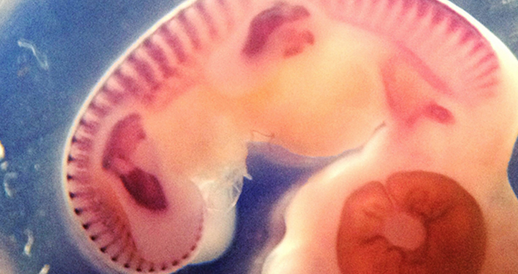 students in classroom