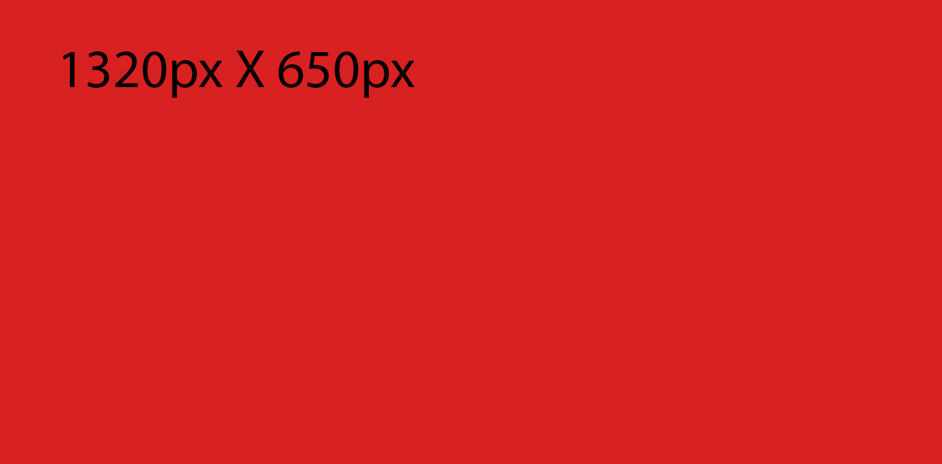 1320*650