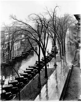 150 Years of Photography: Highlights from the DAC Collection